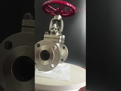 PTFEのガスケット150LBの手動ハンドルSS 3インチによってフランジを付けたようになる地球弁