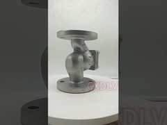 非帰り弁高圧SS316 WCBを持ち上げる地球停止フランジ