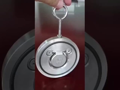 150LB CF8M NBR/EPDM Oリング 抵抗性密封チェックバルブ 水/蒸気/石油/ガス