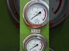 ステンレス鋼のボールバルブ PN16の裸体幹の圧力試験