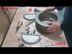 ウェーハデュアルプレートチェックバルブ組立