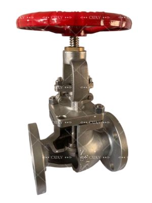 150LBのステンレス鋼CF8Mフレンズ端を備えた上昇する幹ハンドホイールゲートバルブ,流体制御と操作の容易さ